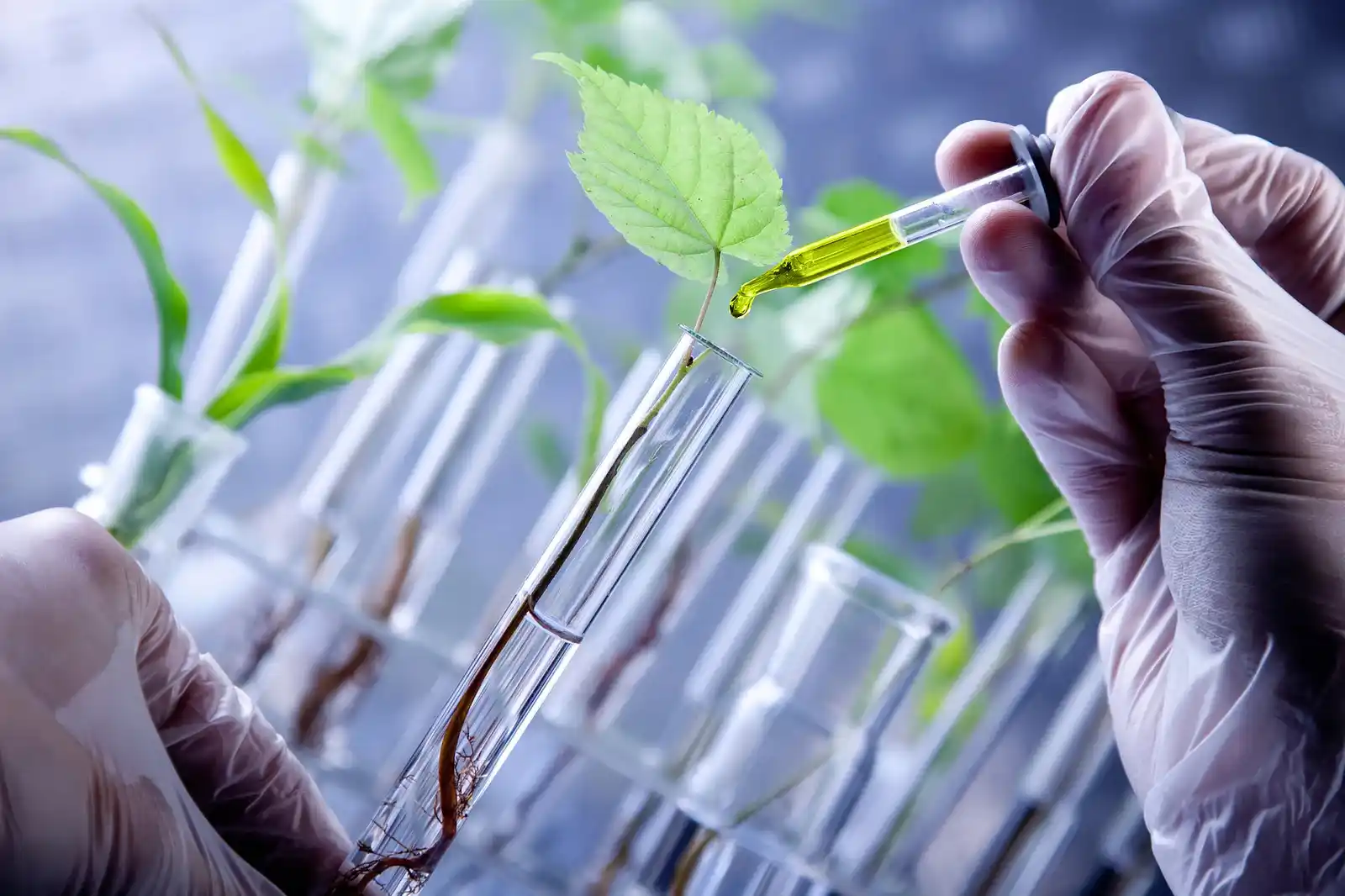 A biotechnology professional conducting research in a lab, analyzing samples with advanced equipment.